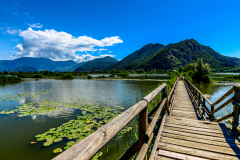 Iseo Lake Sebino Lombardy Italy - Sebino wetland