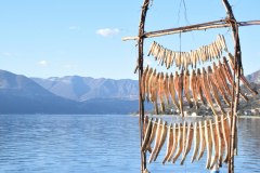 Lago d'Iseo e sardine 2